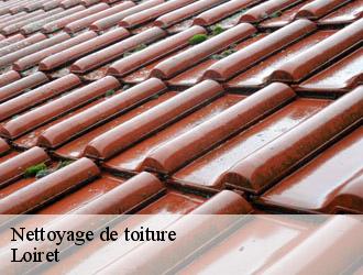 Nettoyage de toiture