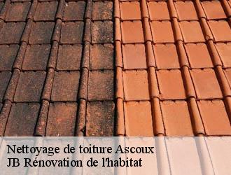 Nettoyage de toiture