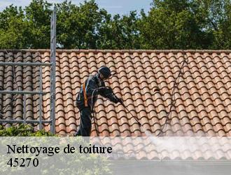 Nettoyage de toiture