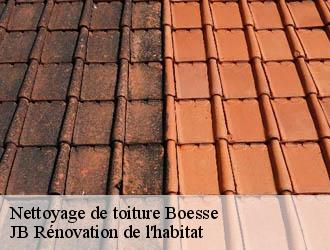 Nettoyage de toiture