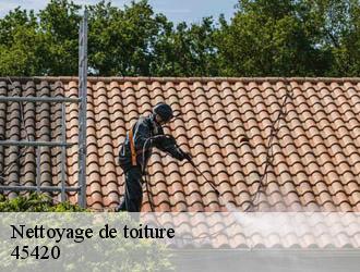 Nettoyage de toiture