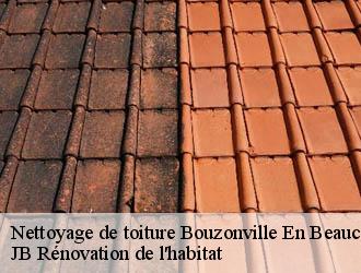 Nettoyage de toiture