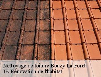 Nettoyage de toiture