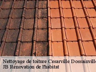 Nettoyage de toiture