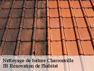Nettoyage de toiture