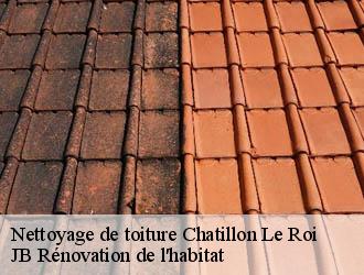 Nettoyage de toiture