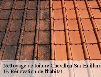 Nettoyage de toiture