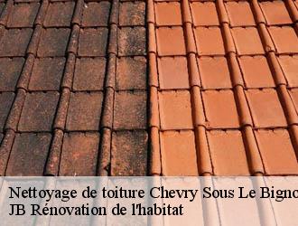 Nettoyage de toiture
