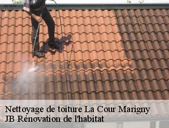 Nettoyage de toiture