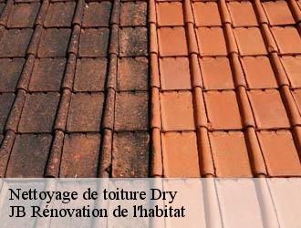 Nettoyage de toiture