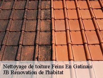 Nettoyage de toiture