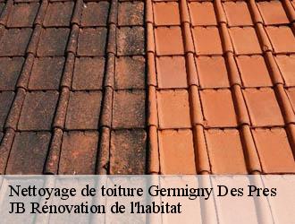 Nettoyage de toiture