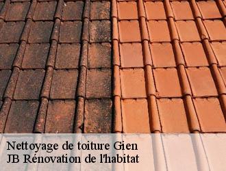 Nettoyage de toiture