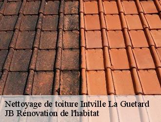Nettoyage de toiture