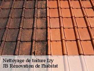 Nettoyage de toiture