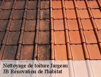 Nettoyage de toiture