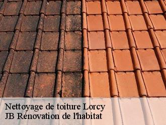 Nettoyage de toiture