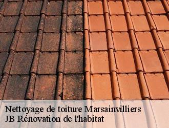 Nettoyage de toiture