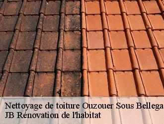 Nettoyage de toiture