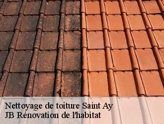 Nettoyage de toiture