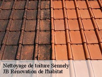 Nettoyage de toiture