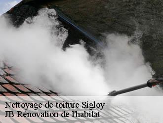 Nettoyage de toiture