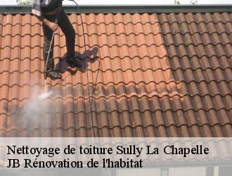 Nettoyage de toiture