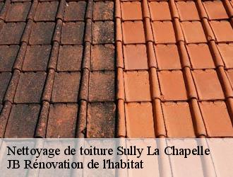 Nettoyage de toiture