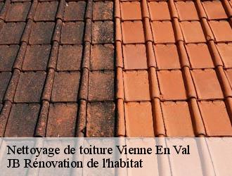 Nettoyage de toiture