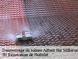 Demoussage de toiture