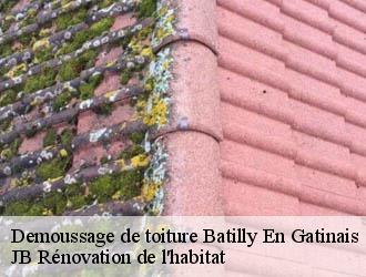Demoussage de toiture