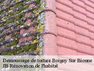 Demoussage de toiture