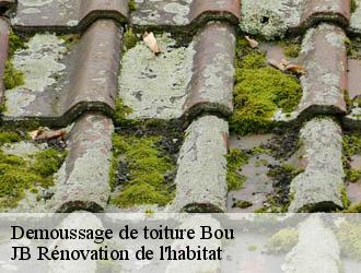 Demoussage de toiture