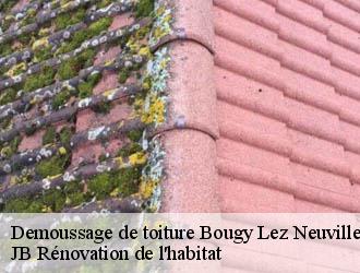 Demoussage de toiture