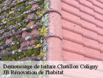 Demoussage de toiture