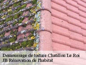 Demoussage de toiture
