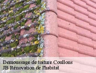 Demoussage de toiture