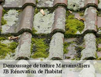 Demoussage de toiture