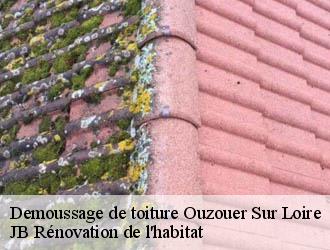 Demoussage de toiture