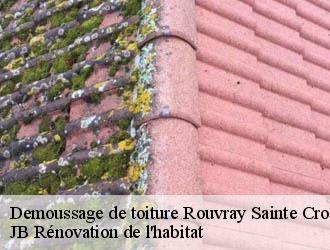 Demoussage de toiture