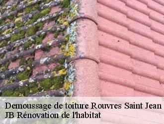 Demoussage de toiture