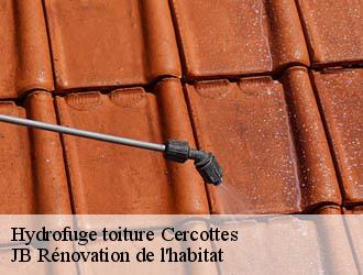 Hydrofuge toiture
