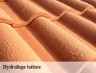 Hydrofuge toiture