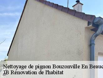 Nettoyage de pignon