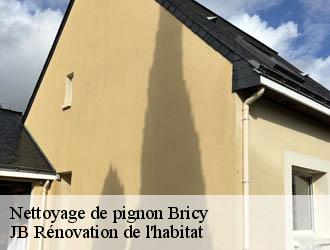 Nettoyage de pignon