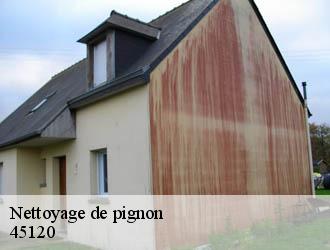 Nettoyage de pignon