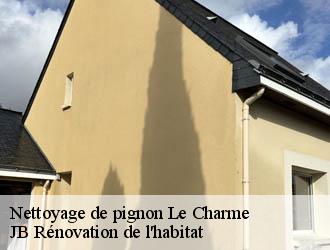 Nettoyage de pignon