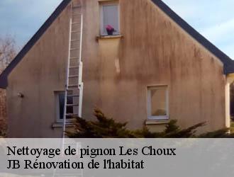 Nettoyage de pignon