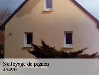 Nettoyage de pignon