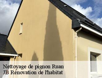 Nettoyage de pignon